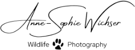 Logo for PC display