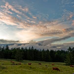 Postcard - Sunset 1