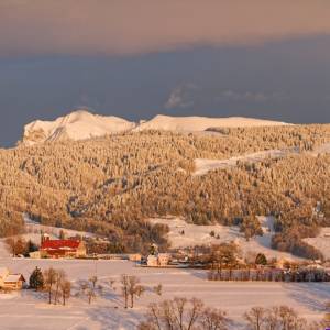 Postcard - Swiss Alps 1