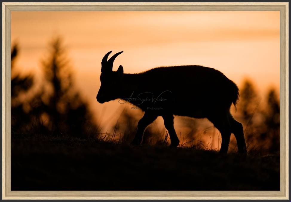 ArtPrint-FloatedFrame-Example